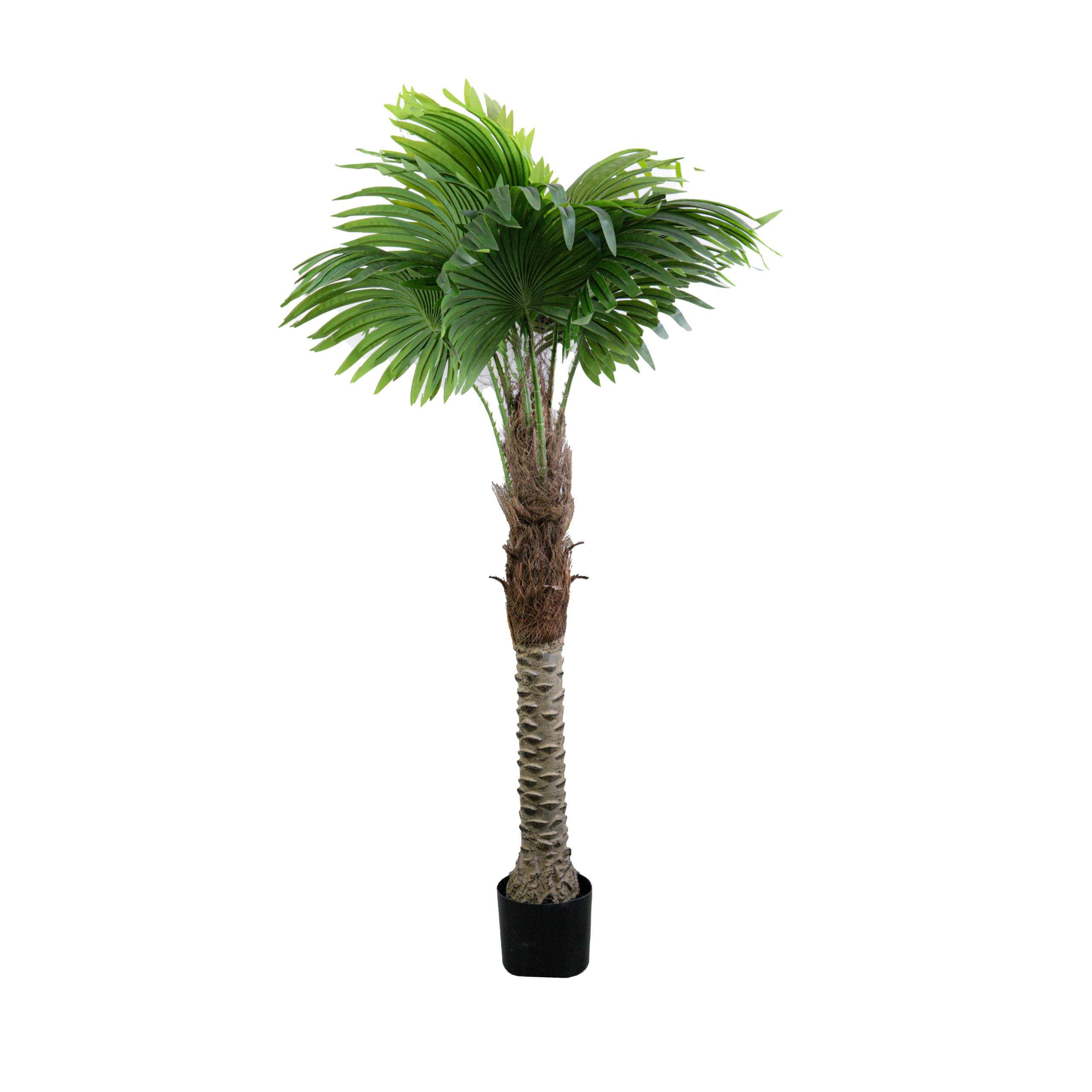 Künstliche Palme Cordyline