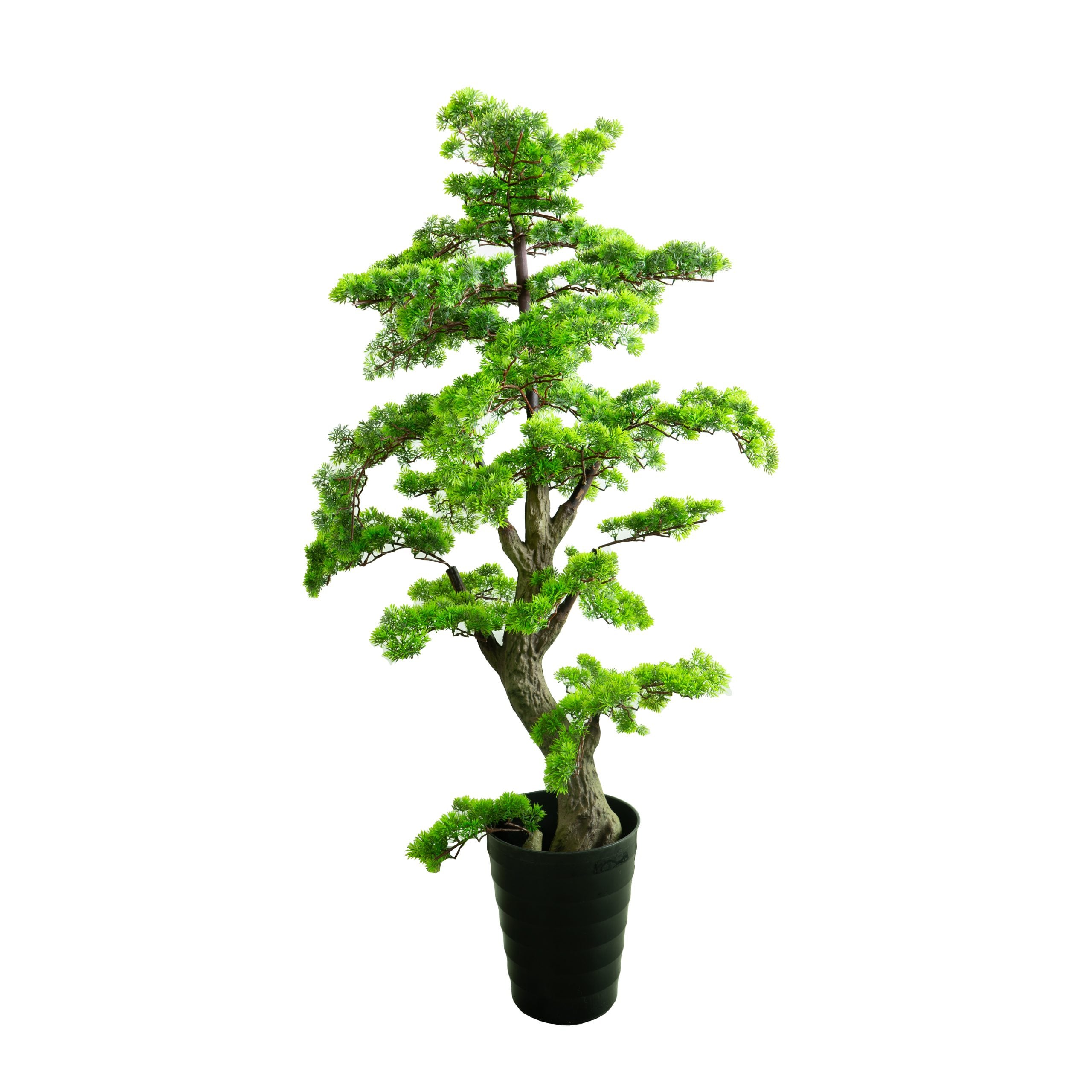 Kunst Bonsai Baum