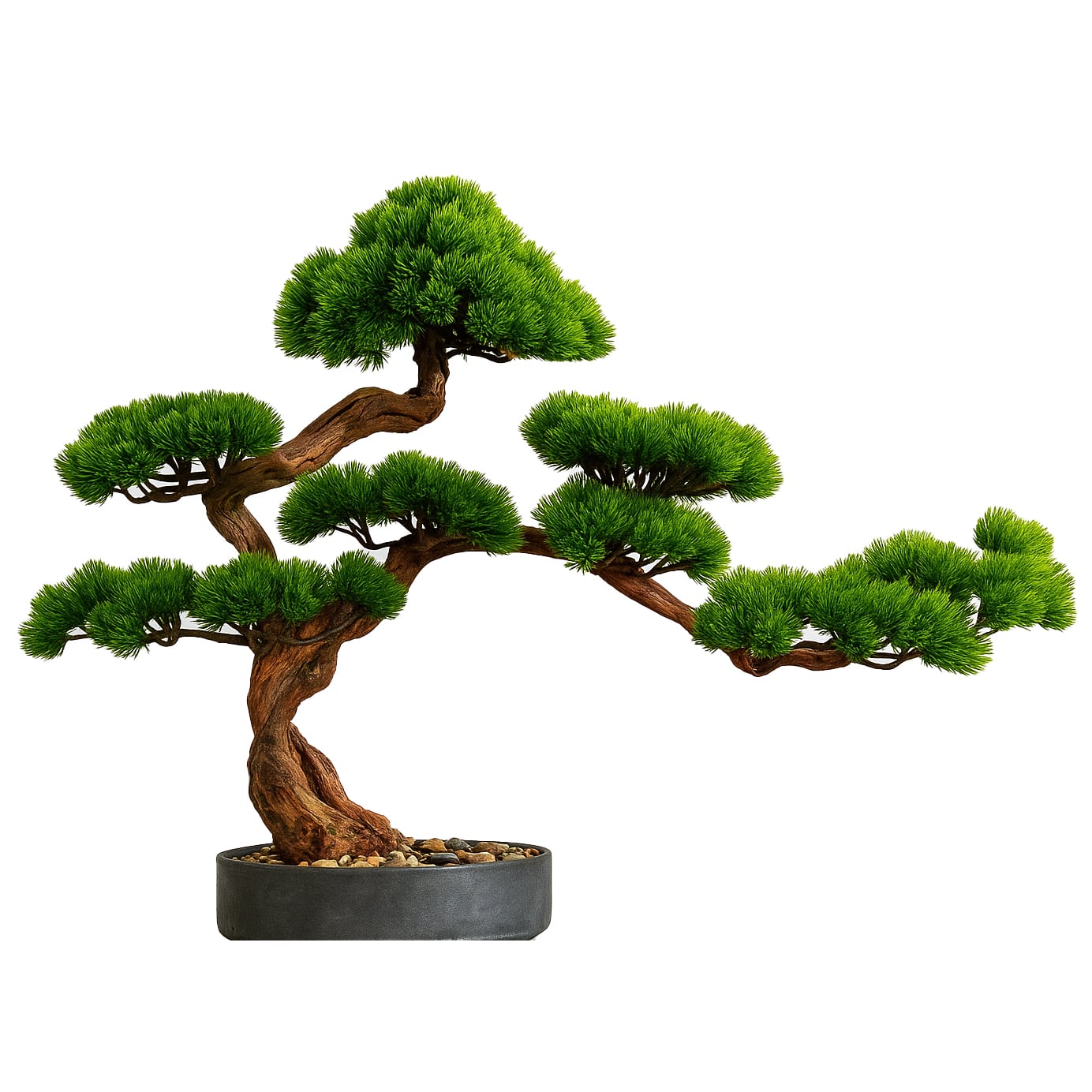 Japanischer Bonsai